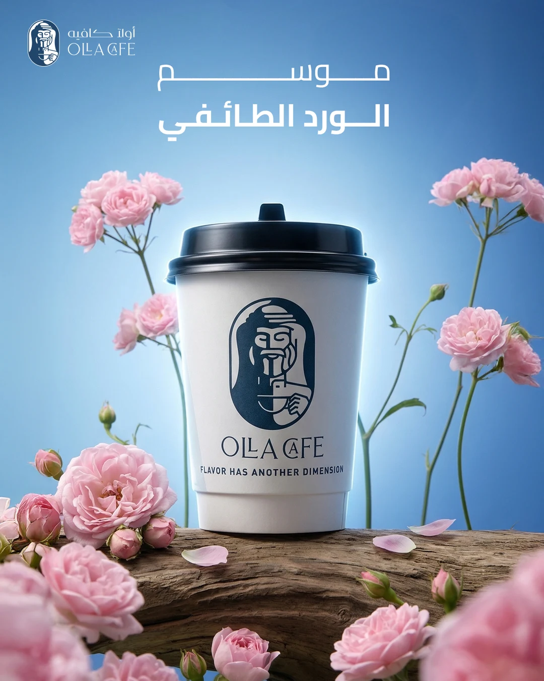 من أعمال سَبْر — تصميم 15